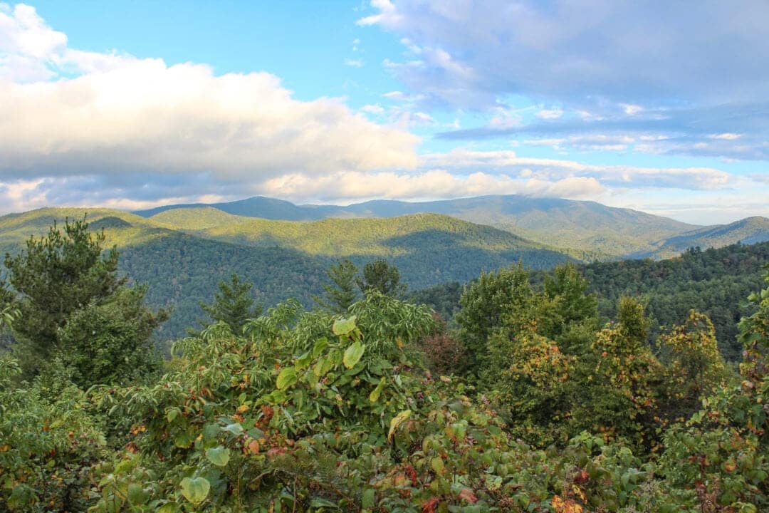 The bluish peaks of The Great Smoky Mountains rise above green brush